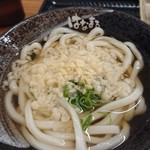 はなまるうどん 宮城角田店 - かけ（小）