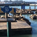 WIPEOUT   Bar & Grill - 怠惰なアシカども