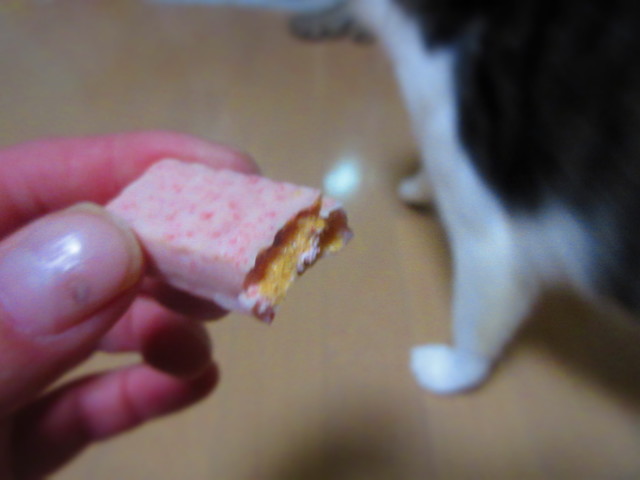 口コミ一覧 : 東武イーストモール 端野店の写真