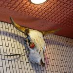 一条流がんこ総本家分家四谷荒木町 - 