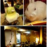 ぬくもりの宿 ふる川 - 