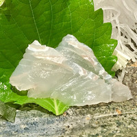 すし屋のさい藤 札幌本店 - 