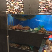 老香港酒家京都 - 内観1：高級食材が泳ぐ水槽
