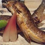 日本料理 晴山 - 鮎