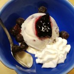 静岡おいしんぼ処 しずおかばっかぁ - ブルーベリーアイス・４８０円