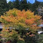 美山荘 - 敷地内の紅葉