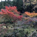 美山荘 - 部屋から