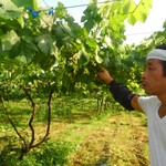 亀ケ森醸造所・大和田さん『シードル』 【岩手県花巻市亀ケ森】
