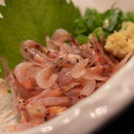 Shizuoka specialty: Sakura shrimp sashimi