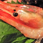 はてなのちゃわん - 