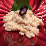 創作Dining Sushi　きくち - 白子