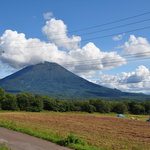 Cafeこむぎ野 - テラスから羊蹄山を眺めることができます