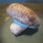 ドンブラボー - ジャンボ椎茸