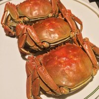 中国飯店 富麗華 - 上海蟹 蒸しあがり