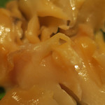 酒菜坊 橋蔵 - さより刺＆つぶ貝刺　ズームアップ