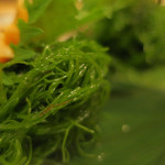 酒菜坊 橋蔵 - さより刺＆つぶ貝刺　ズームアップ