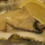 酒菜坊 橋蔵 - 岩手産 生かき　ズームアップ