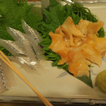 酒菜坊 橋蔵 - さより刺＆つぶ貝刺　ズームアップ