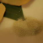 酒菜坊 橋蔵 - 新筍焼（新物）　ズームアップ