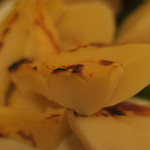 酒菜坊 橋蔵 - 新筍焼（新物）　ズームアップ