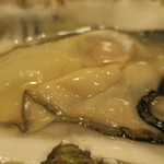 酒菜坊 橋蔵 - 岩手産生カキ喰らう