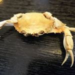 中華ソバ 伊吹 - 