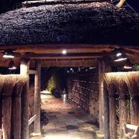 九つ井 本店 - 