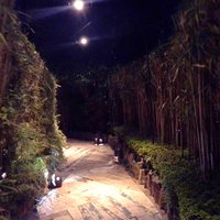 九つ井 本店 - 