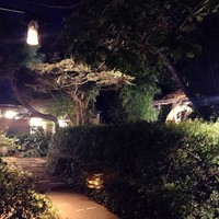 九つ井 本店 - 