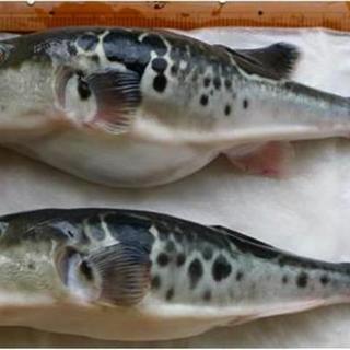 石橋スタンドゐの一_1