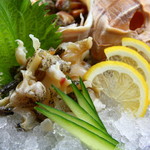 Honshu shellfish from Erimo