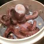 麺酒屋 蛸料理 一龍亭 - 明石蛸の地獄の石焼サウナ