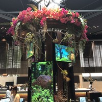 リュクス ダイニング ハプナ - 