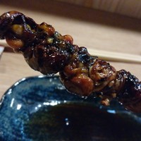 うなぎ 目白ぞろ芽 - 