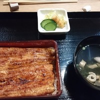 うなぎ 目白ぞろ芽 - 