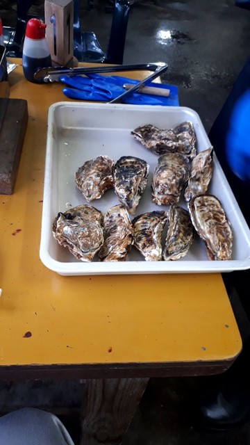 旬味 かきの里 &ndash; 松島町の新鮮牡蠣専門店