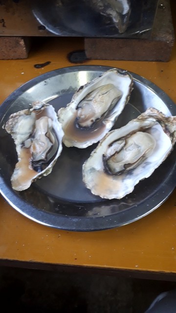 旬味 かきの里 - 高城町（シーフード）の写真