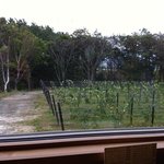 ジンギスカン白樺 富良野店　 - 