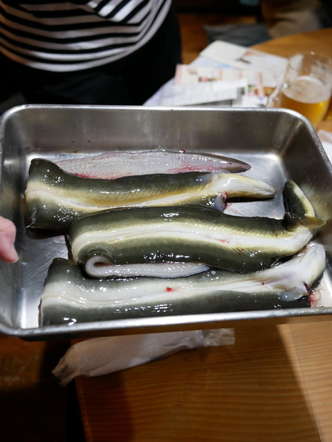 Ujo Tei, Okayama, Japan
