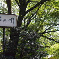 菊乃井 本店 - 