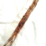 ブリコラージュ ブレッド アンド カンパニー - いぶりがっこバトン。なかなか全景写りませんね(^-^; 20181110