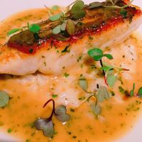 FURUYA　augastronome - 