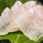 鮨匠 のむら - (03)鮃(鹿児島県開聞岳沖産・2日寝かせ)
      産卵期は春～初夏、旬は秋～晩冬。
      軽めに昆布〆された鮃だそうですが、あまり昆布〆っぽい感じがせず、甘い鮃の旨みを堪能。