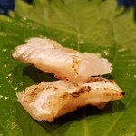 鮨匠 のむら - (06)鮃(鹿児島県開聞岳沖産・2日寝かせ)の縁側の炙り
      今度は炙ってあるので、芳ばしく、加熱により脂が活性化して、より甘みが強い。
      同じ食材の食べ比べをすると味わいの変化を楽しめて面白いですね。