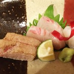 和食堂よこやま - 本マグロトロ炙り、カンパチ、もんこうイカ