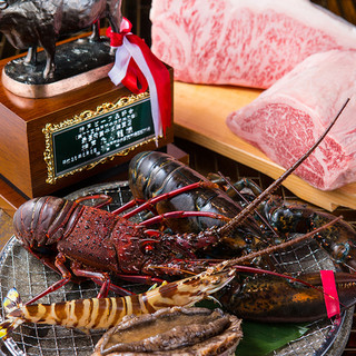 はかたの桜華_1