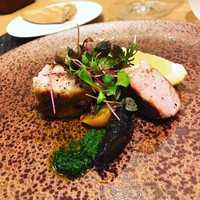 ARMONICO - 