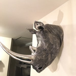 エスパイ クック コウベ - サイ？