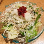 Ryoubumbashiwowatatte - しらすと玉ねぎの梅サラダ