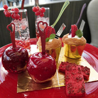 Lounge & Dining G - 